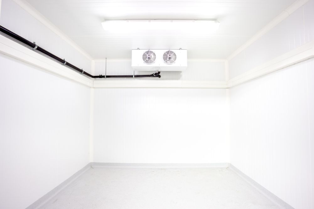 An Empty Room With Two Fans on the Ceiling — Hutchy's Refrigeration & Electrical in Trinity Park, QLD
