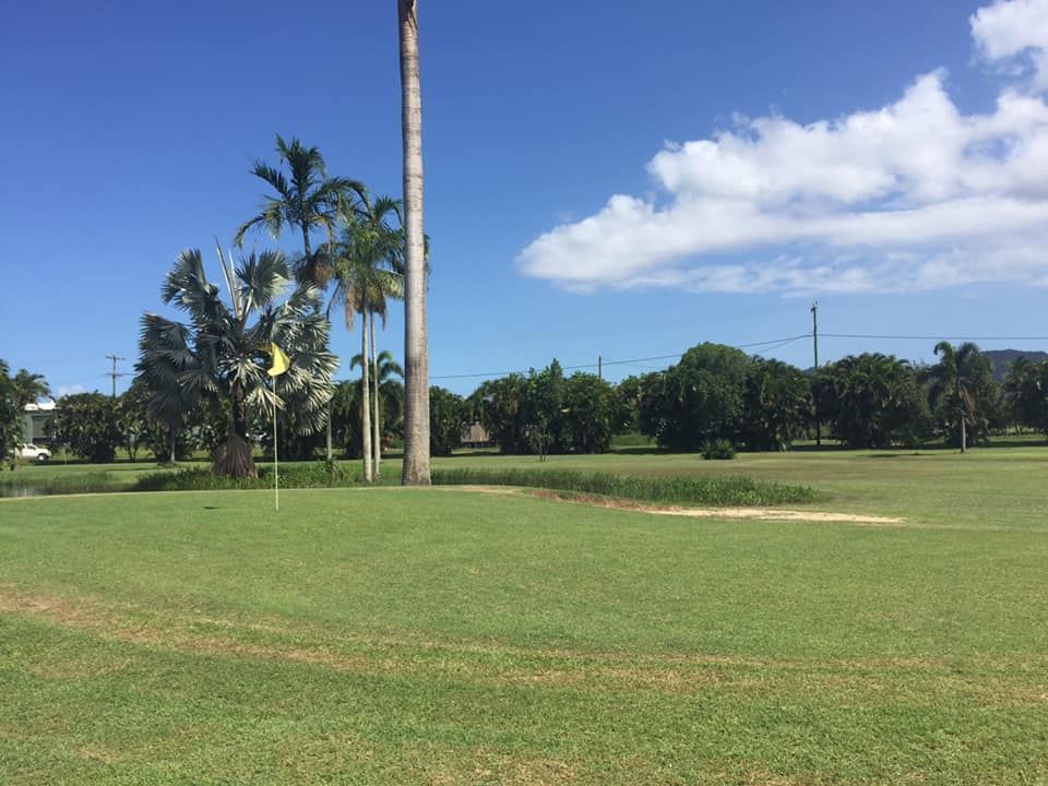 A golf course with a palm tree in the middle of it
