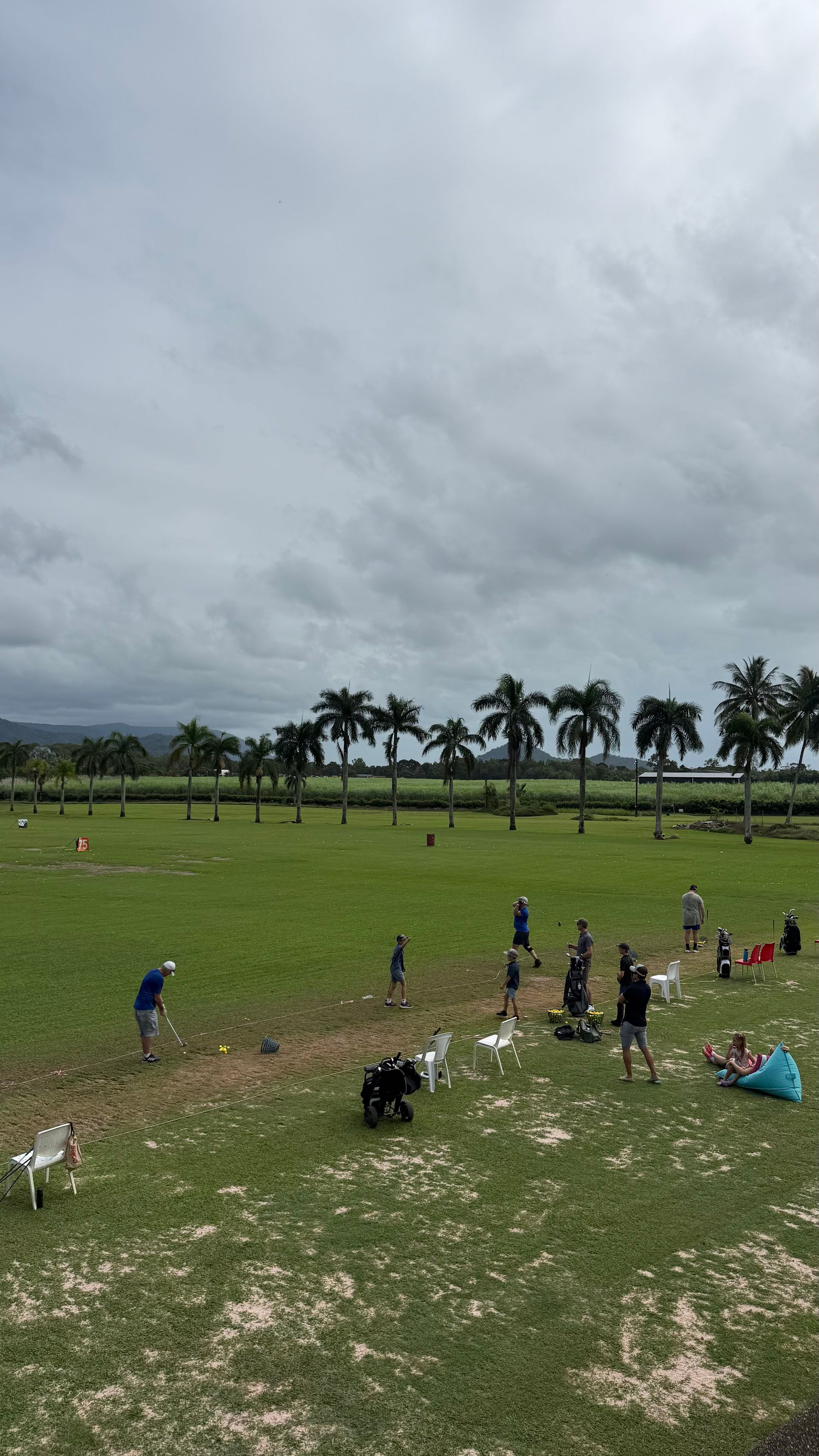 A group of people are playing in a grassy field with palm trees in the background.