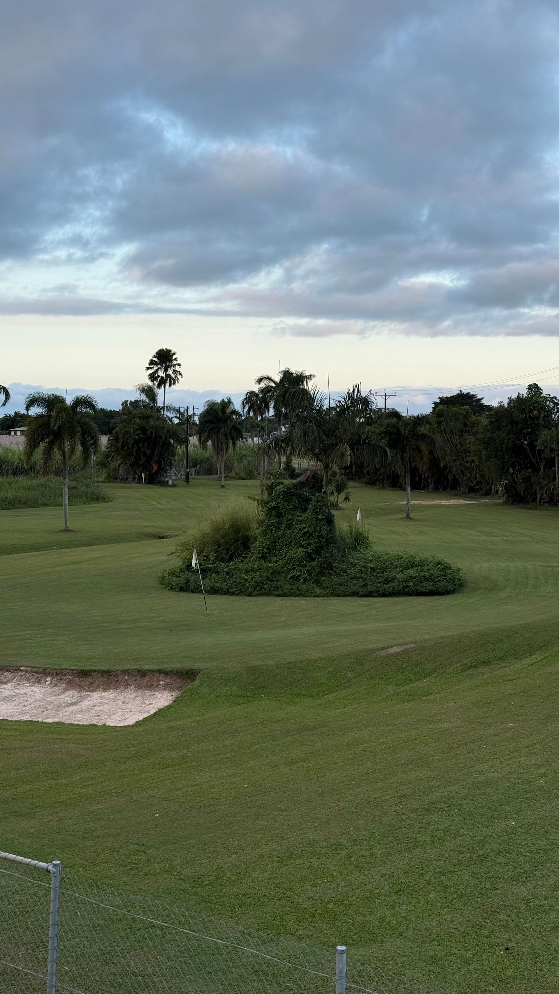 A golf course with a fence and trees in the background on a cloudy day.
