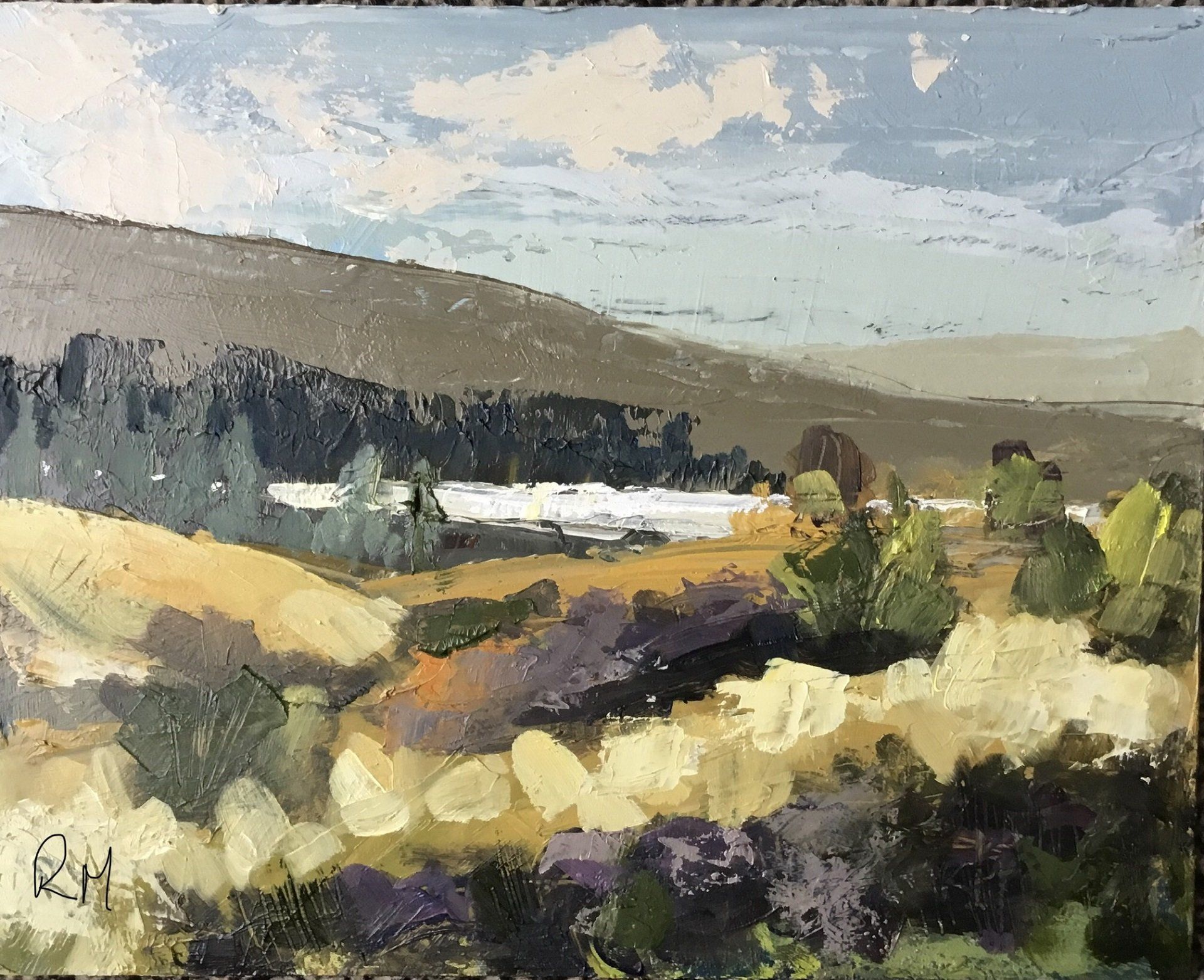 A painting of a landscape with mountains in the background