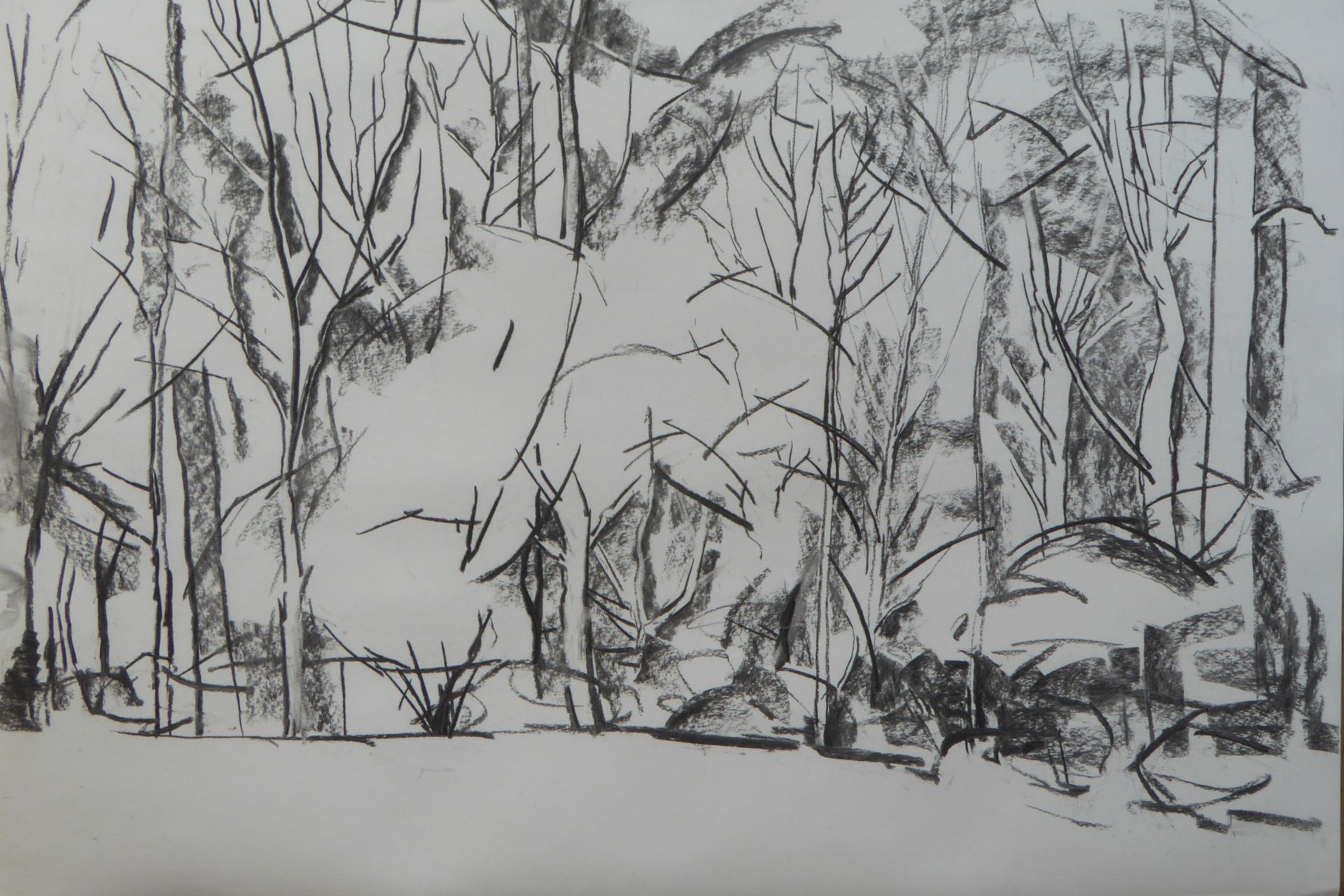 A black and white drawing of a forest with trees without leaves
