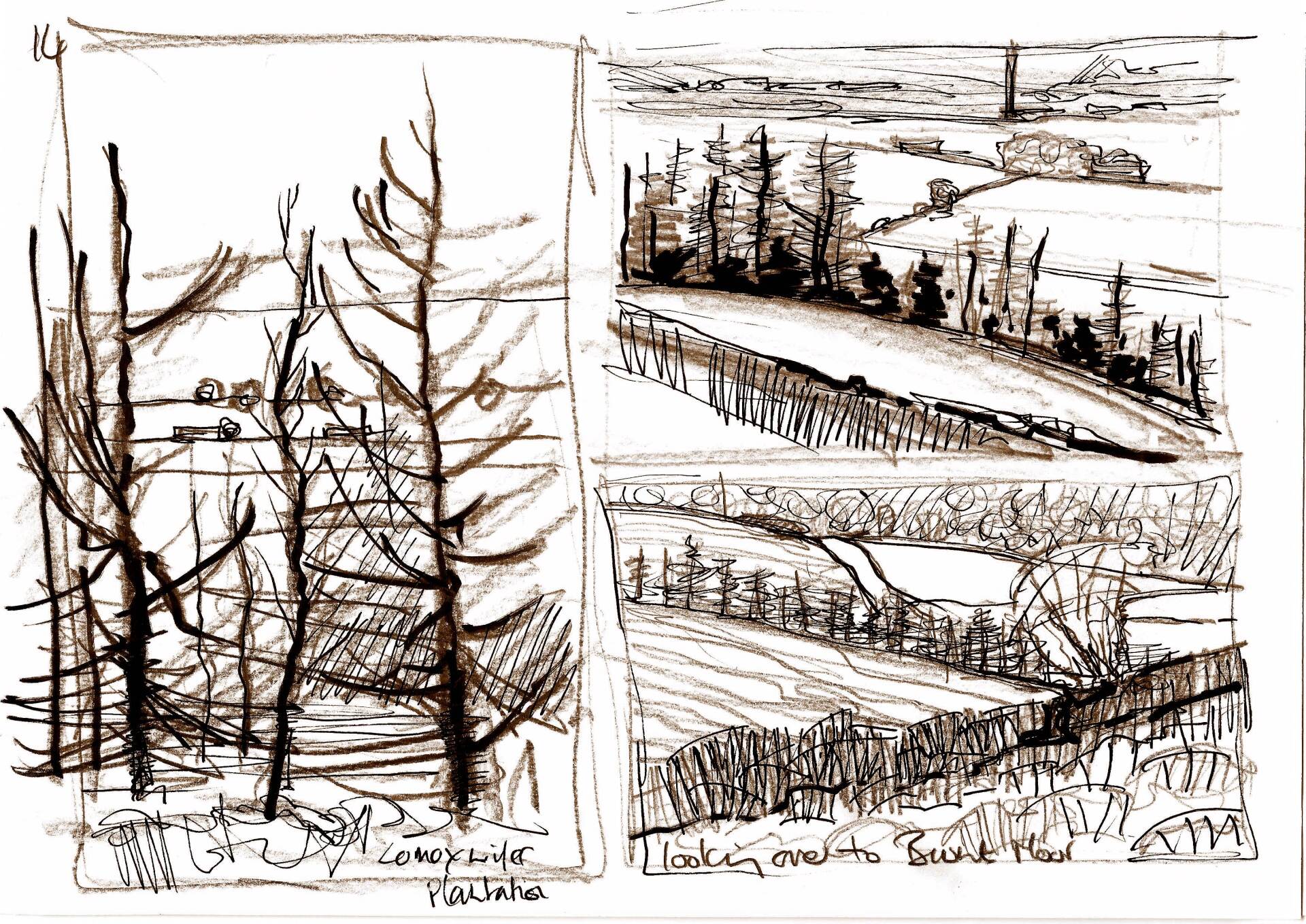 A black and white drawing of trees and a field