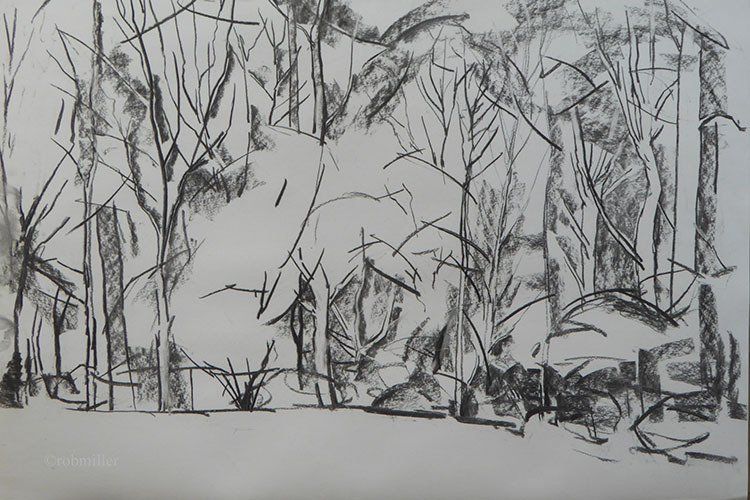 A black and white drawing of a forest with trees without leaves