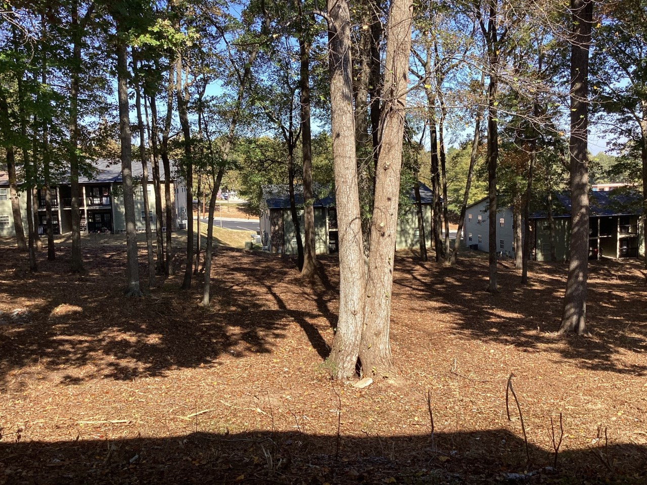 Phenix City Apartments Outdoors