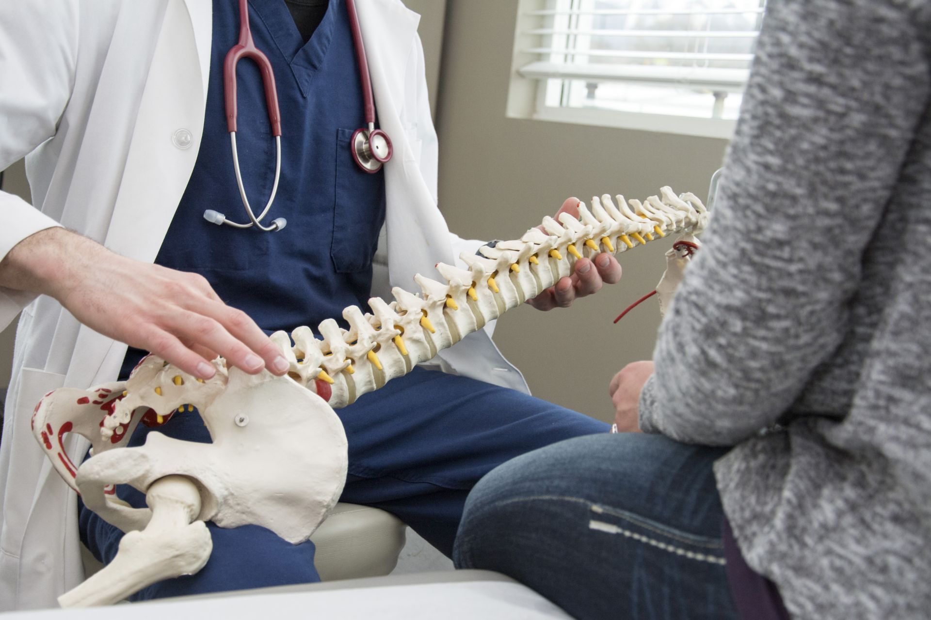 a doctor is holding a model of a human spine .