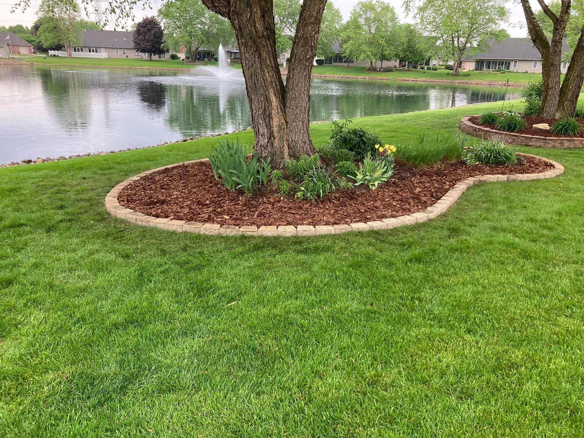 Bush Trimming and Bed Maintenance