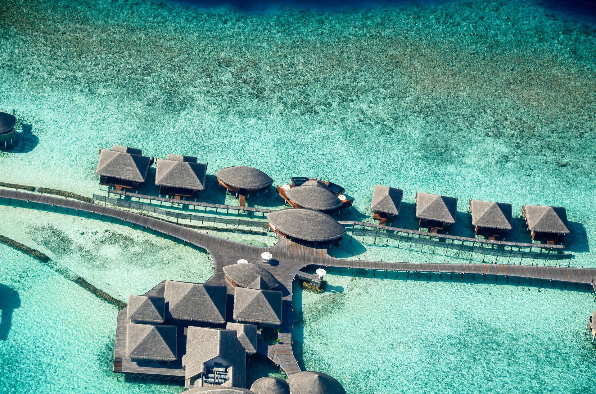 A person is standing in front of a gate with a mountain in the background.