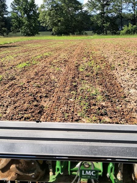 A view from a tractor looking over a tilled, planted field toward a line of trees.