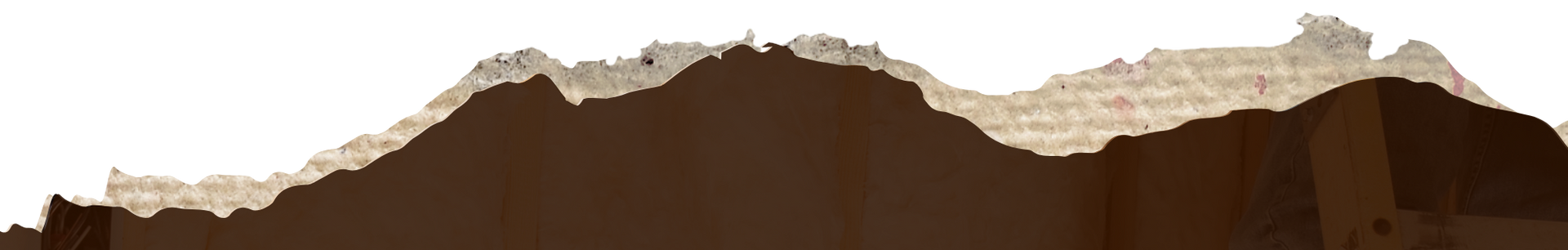 A stylized landscape silhouette featuring dark brown, rugged mountain peaks layered against a lighter, textured background.