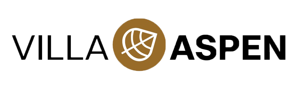 Logo Villy Aspen