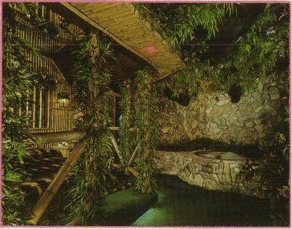 Themed Resort — Jungle Themed Rooms in Miami, FL