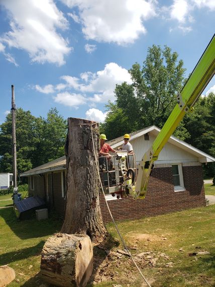 A Tree Blocking The House — Michigan City, IN — Knoll & Son’s Tree Service