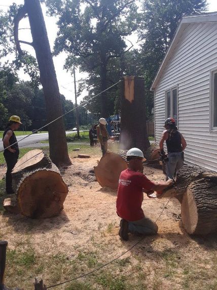 A Truck Removing Tree Stump — Michigan City, IN — Knoll & Son’s Tree Service