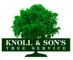 Knoll & Son’s Tree Service