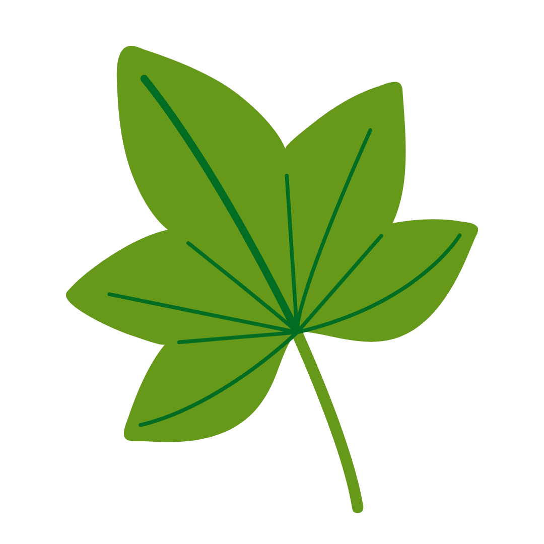 Purple butterfly inside a green leaf.