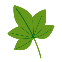 Purple butterfly inside a green leaf.