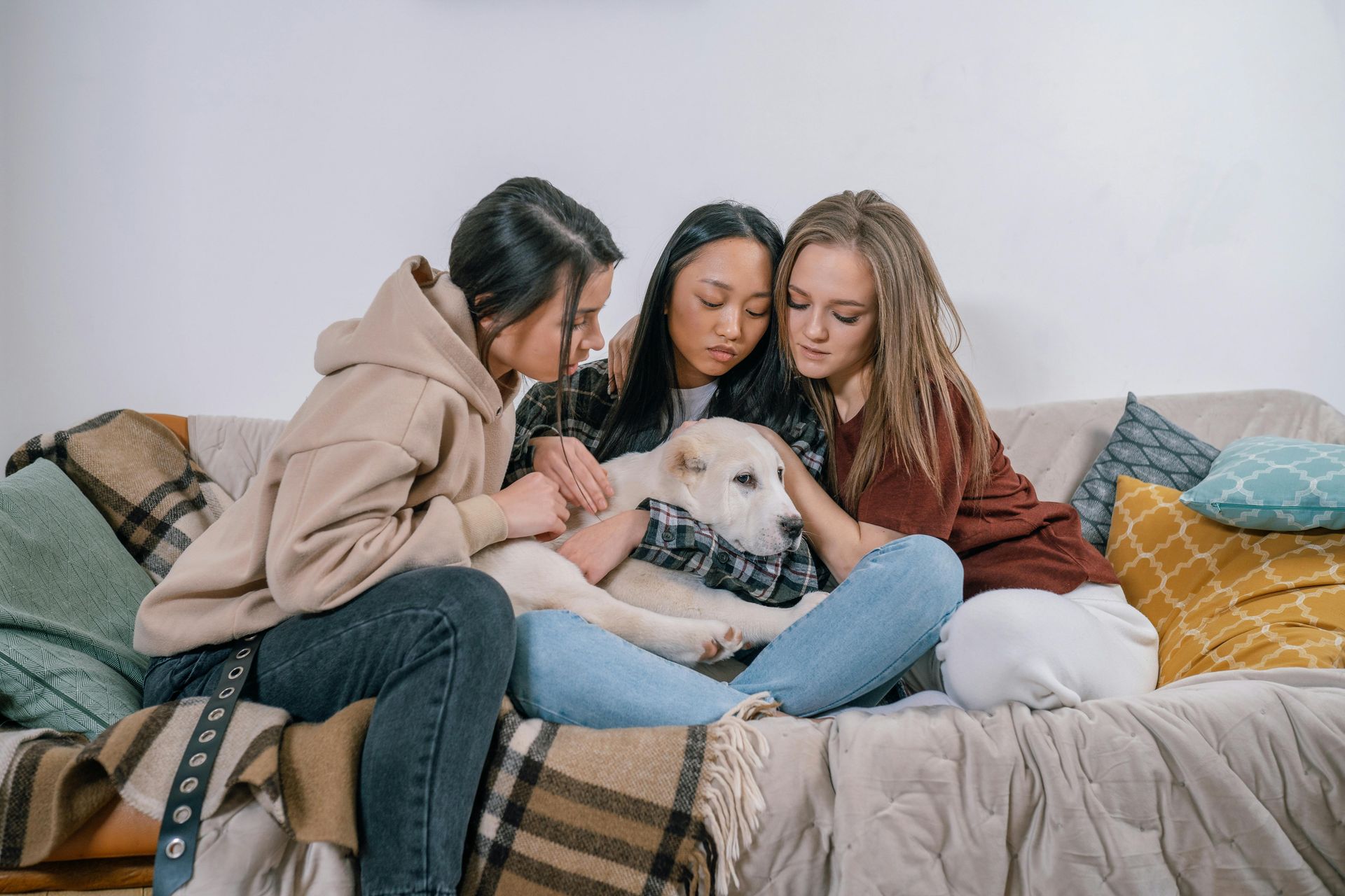 Three women petting a white dog on a couch, looking down with caring expressions.