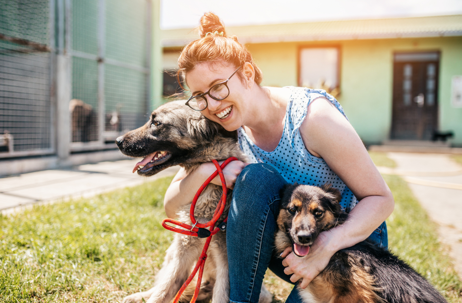 A woman is kneeling down next to two dogs at an animal shelter.
