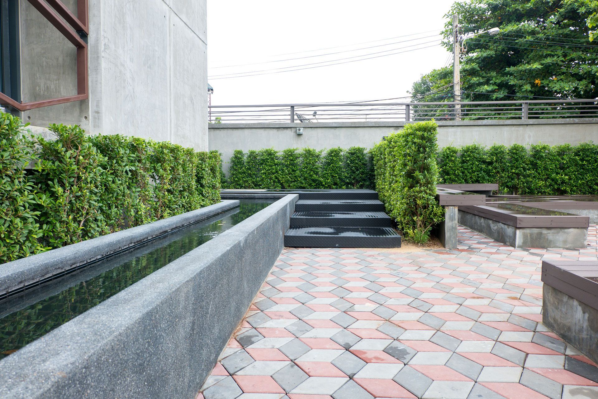 A concrete patio with a long water feature, black steps, and manicured hedges against a wall.