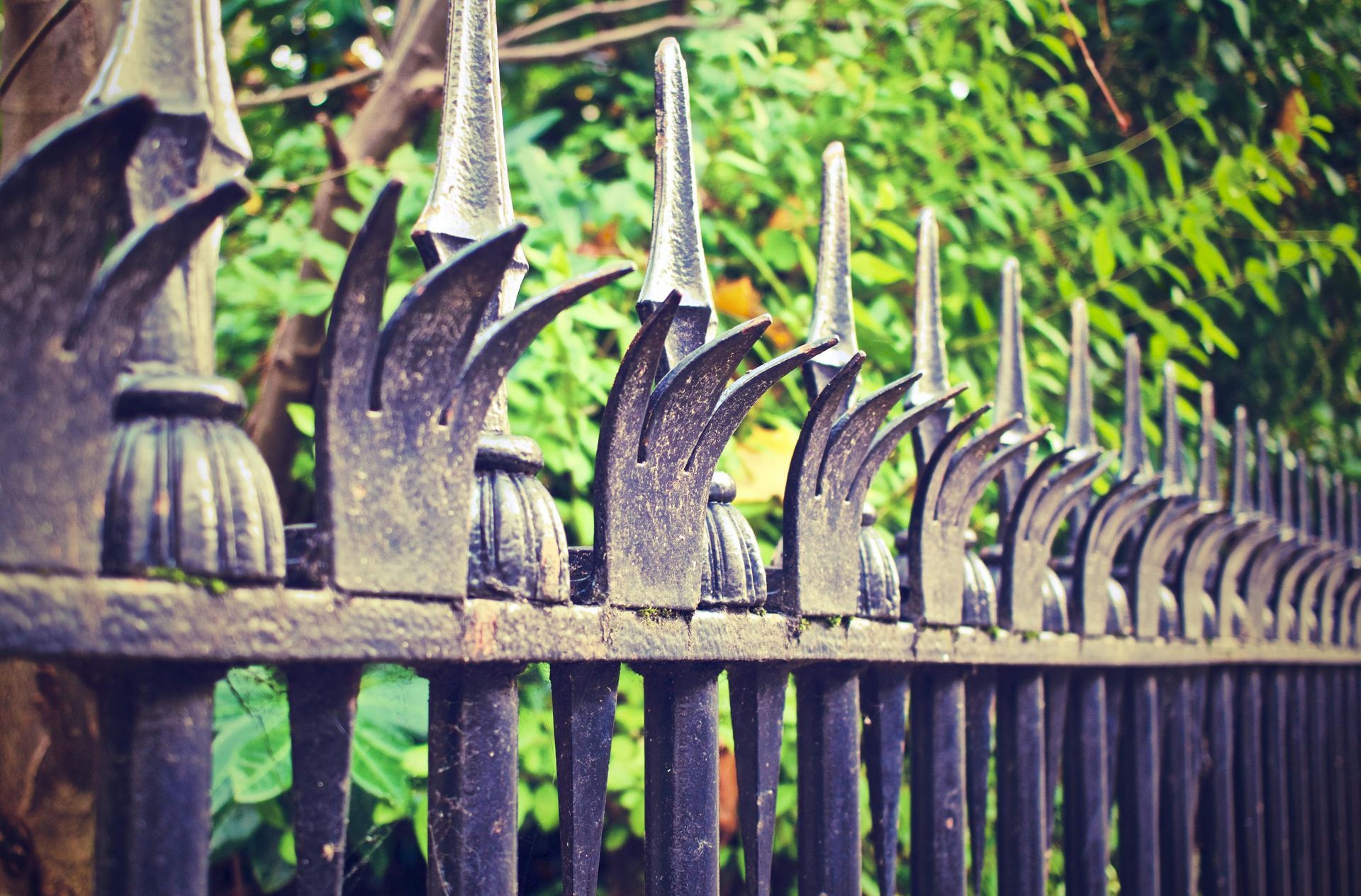 A row of ornate black iron fence pickets with pointed finials set against a background of green foliage.