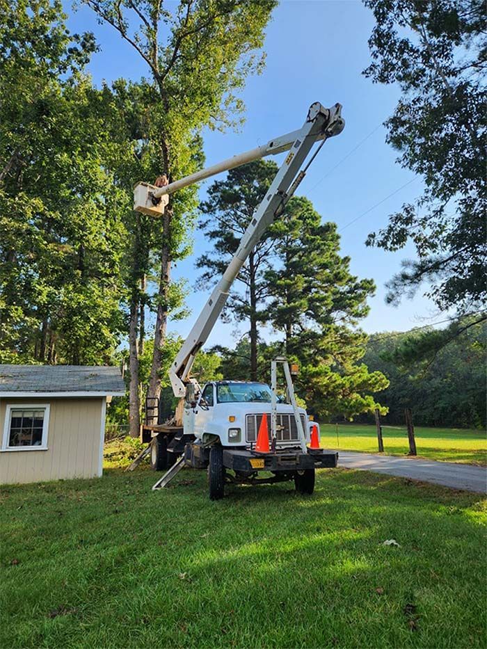 A white truck with a crane on top of it is cutting a tree.