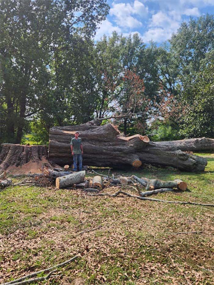 A man is standing next to a large log in a field.