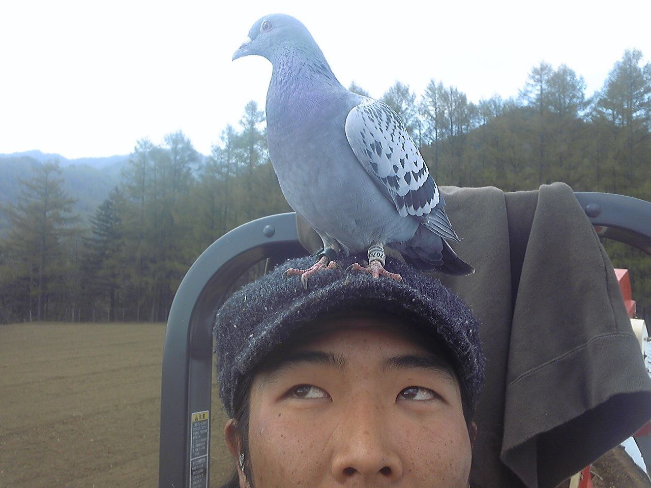 A bird sits on Hiro Ito's head