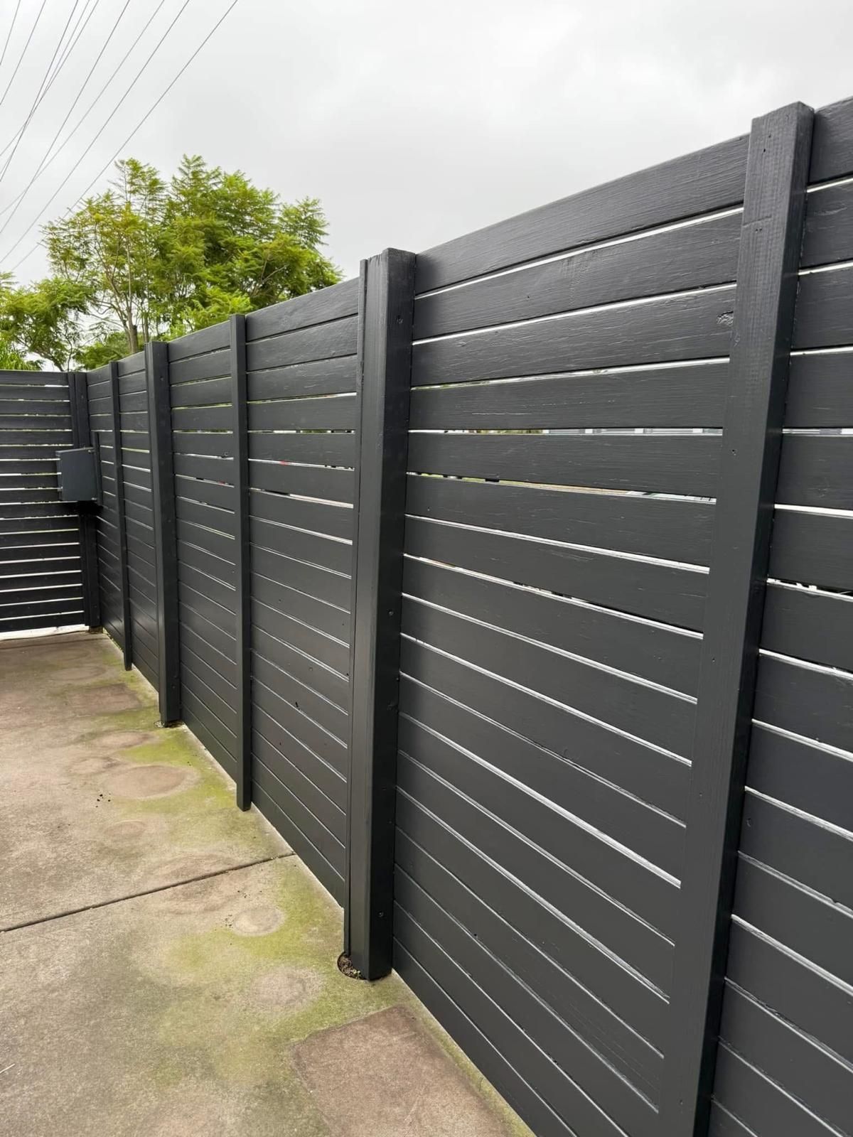 A black fence with a gate in the background.