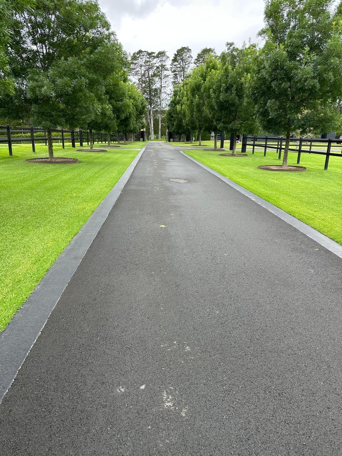 A road going through a grassy field with trees on both sides.