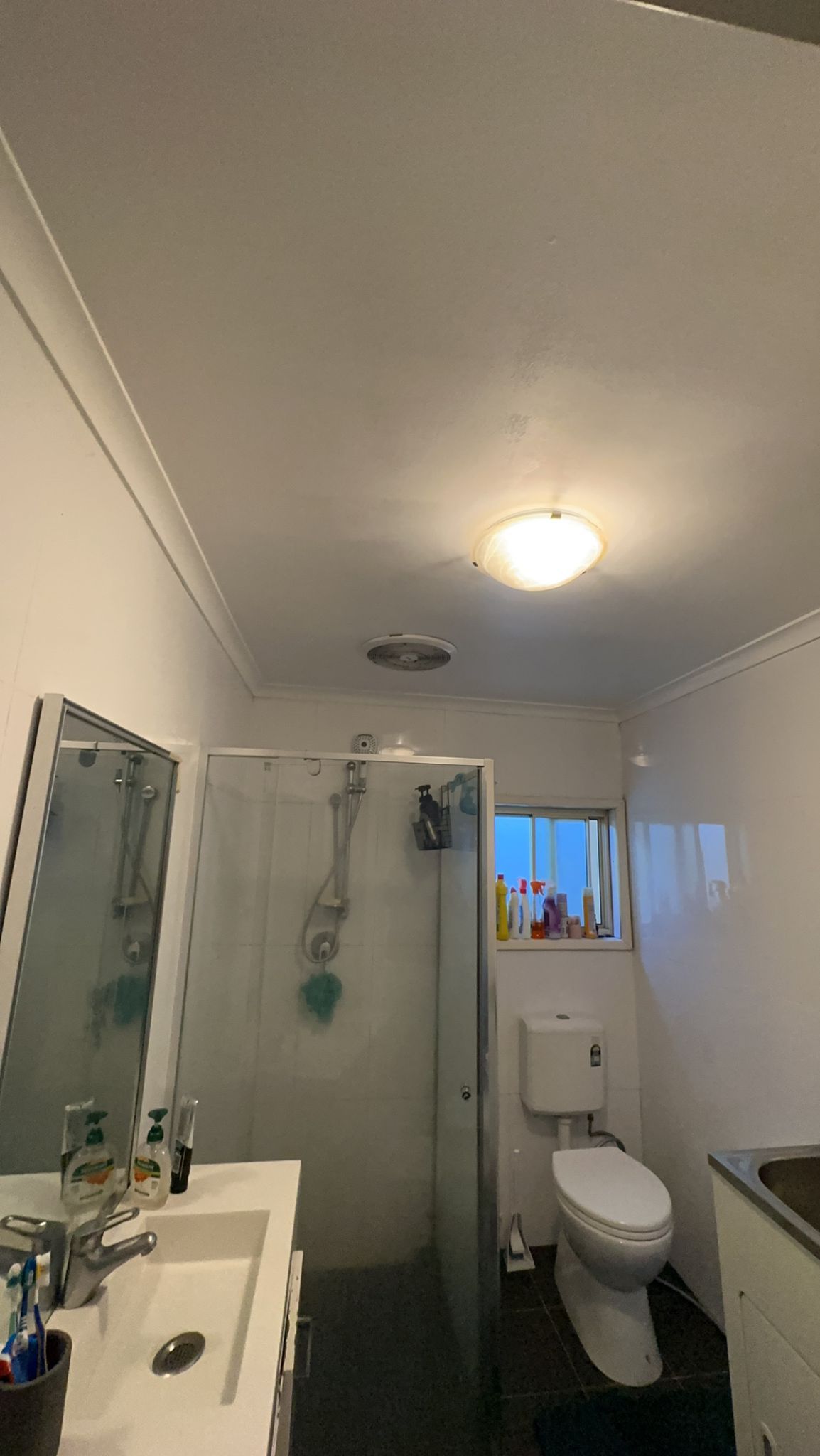 A bathroom with a toilet , sink , shower and mirror.