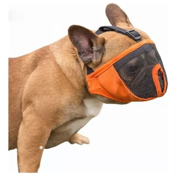 Bozal para perro Bulldog Francés