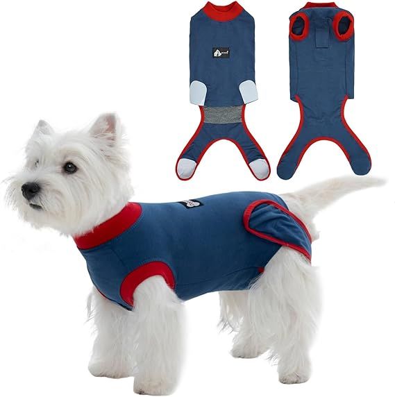 Traje de Recuperación  para perro