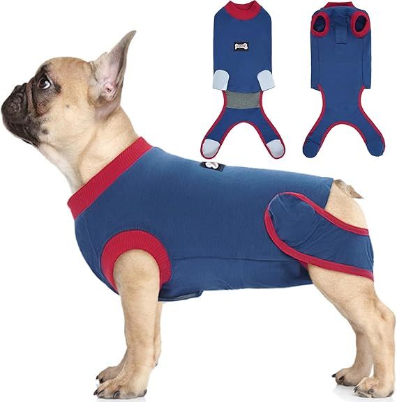 Traje de Recuperacion  para perros