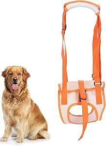 Arnés de apoyo (8-12kg)