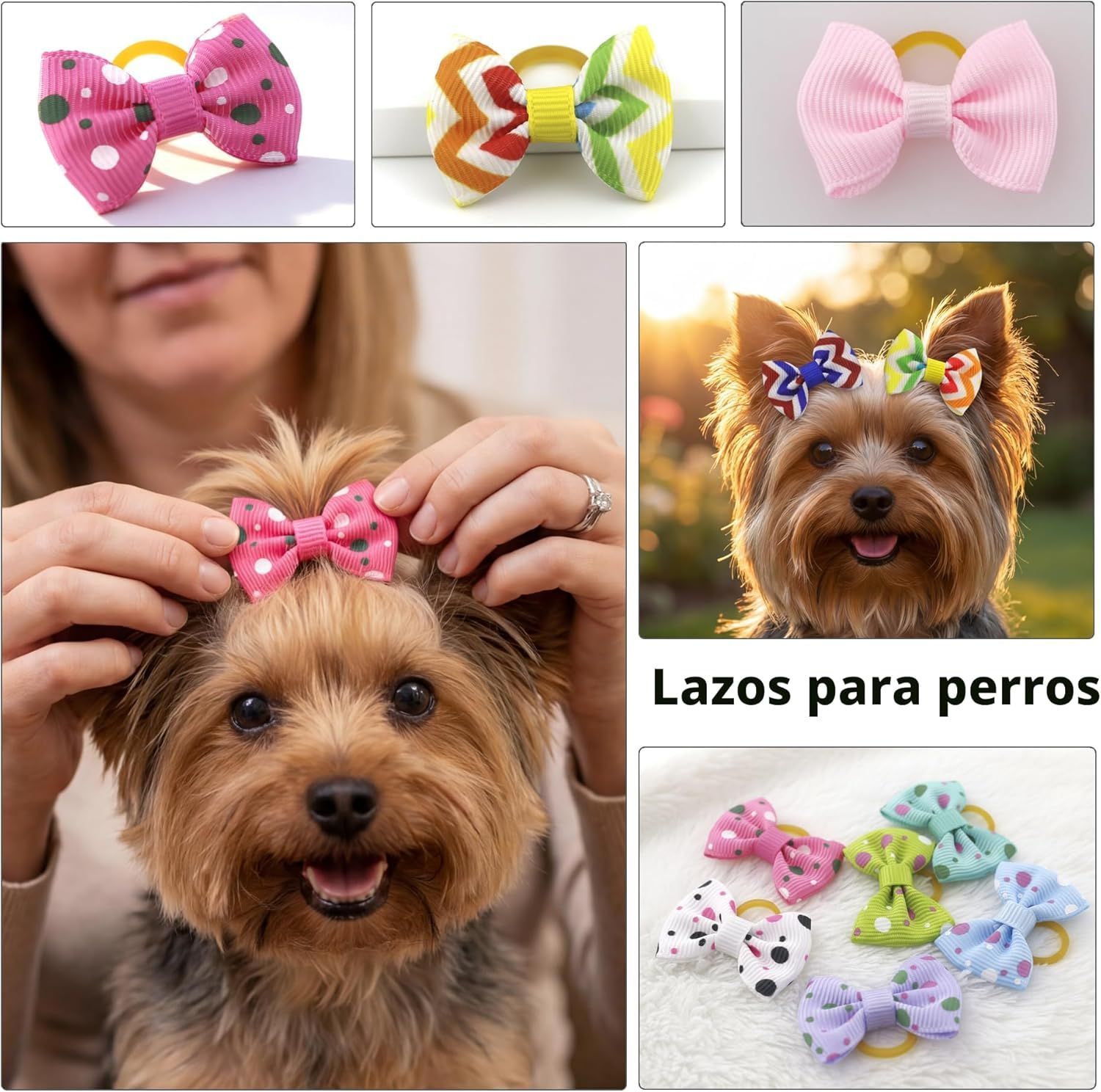 Lazos para pelo de perro pequeño