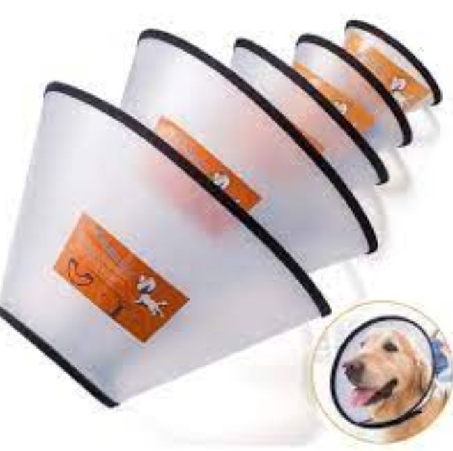 Collar isabelino Velcron (12-23 kg)
