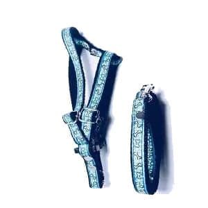 Set De Pechera Ajustable Y Correa Para Perro grande Diseño Huesos
