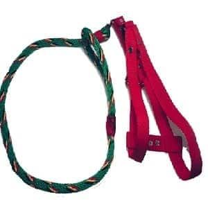 Set Pechera Reforzada Con Correa Trenzada Tricolor Para Perros ?✨