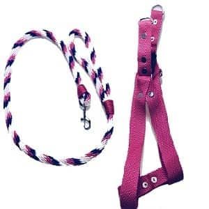 Set Pechera Reforzada Con Correa Trenzada Tricolor Para Perros ?✨