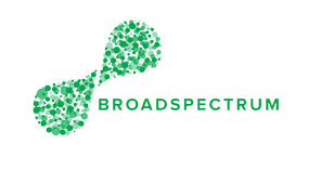 Broadspectrum logo