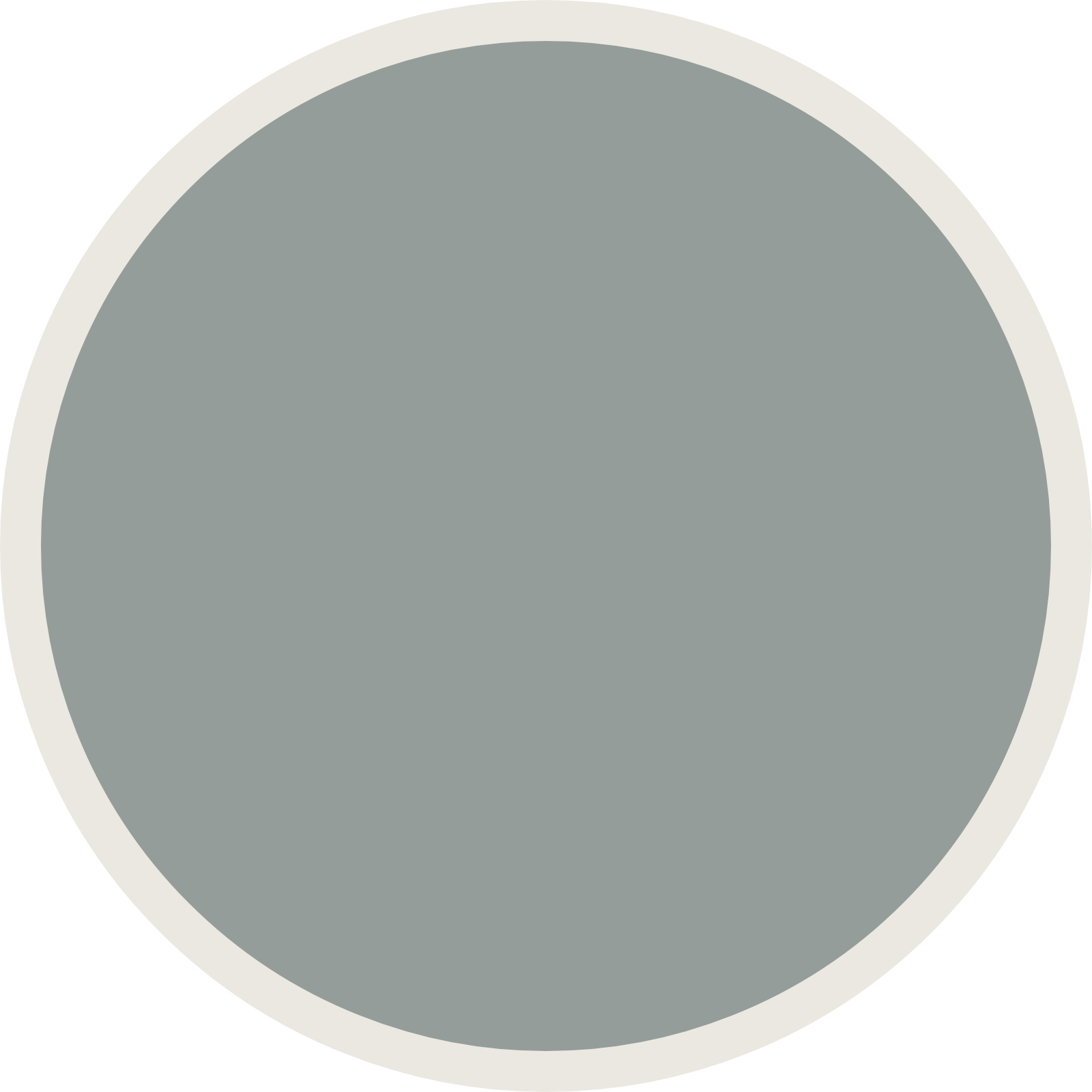 Gray circle inside a light-colored circle border.