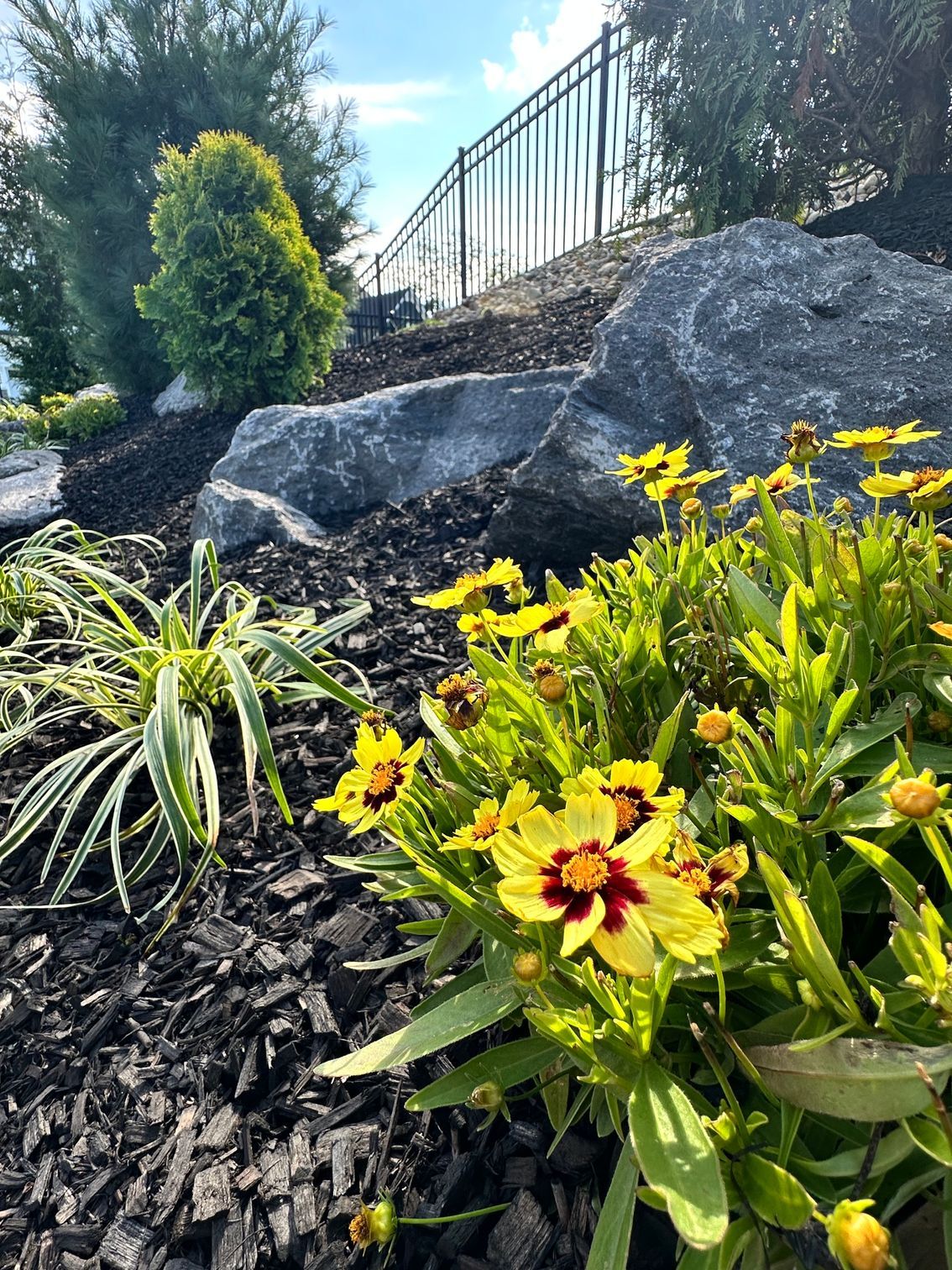 Landscape Design & Install