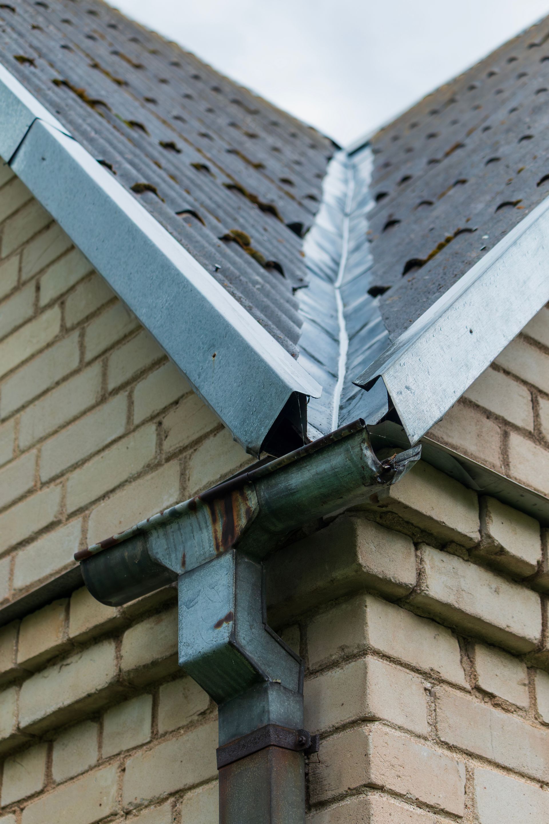 Close-up of a roof corner with white siding, gray shingles, and a rain gutter and downspout.