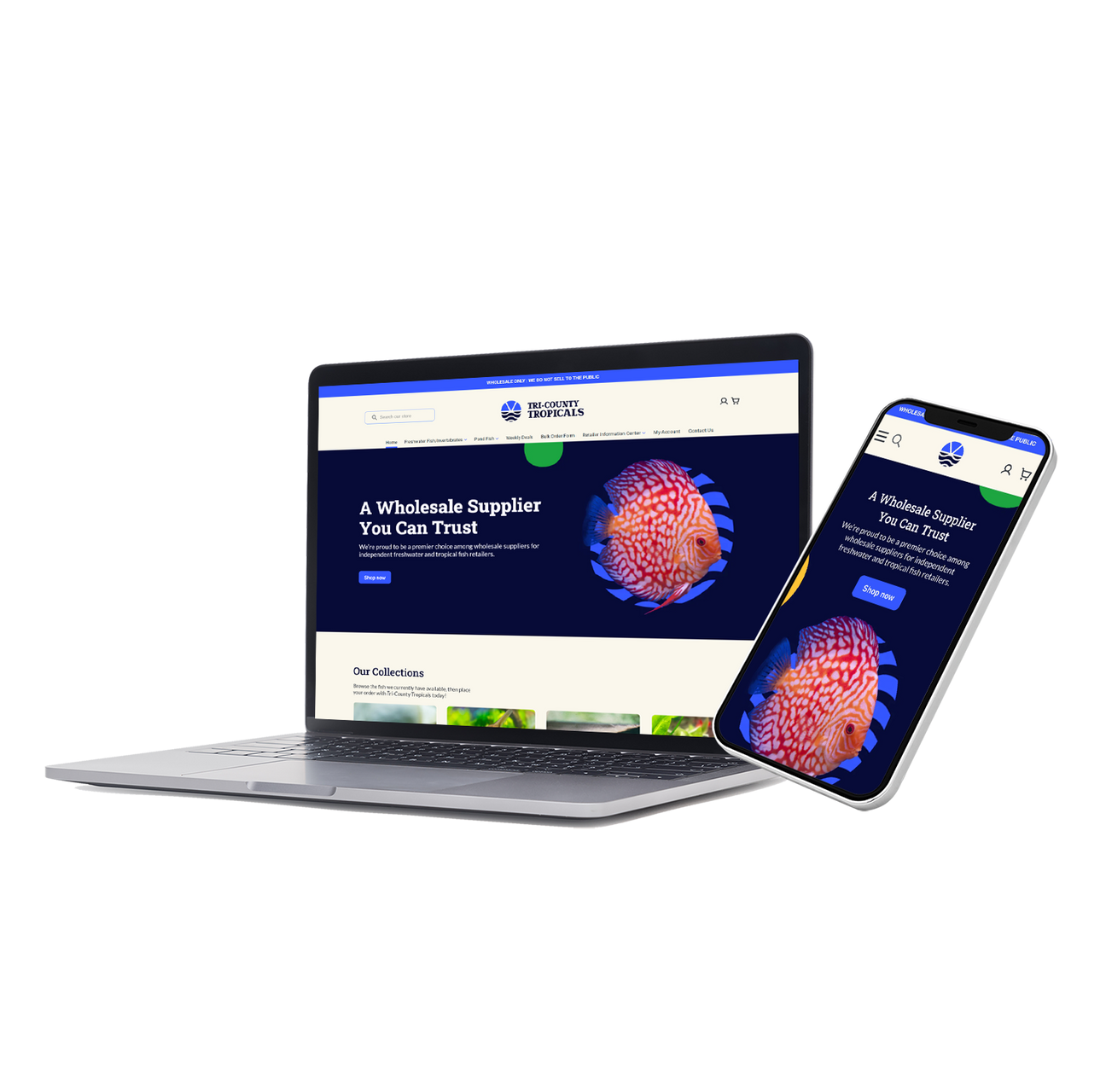 A laptop and smartphone displaying the same website, featuring a blue and white theme with an image of a discus fish.