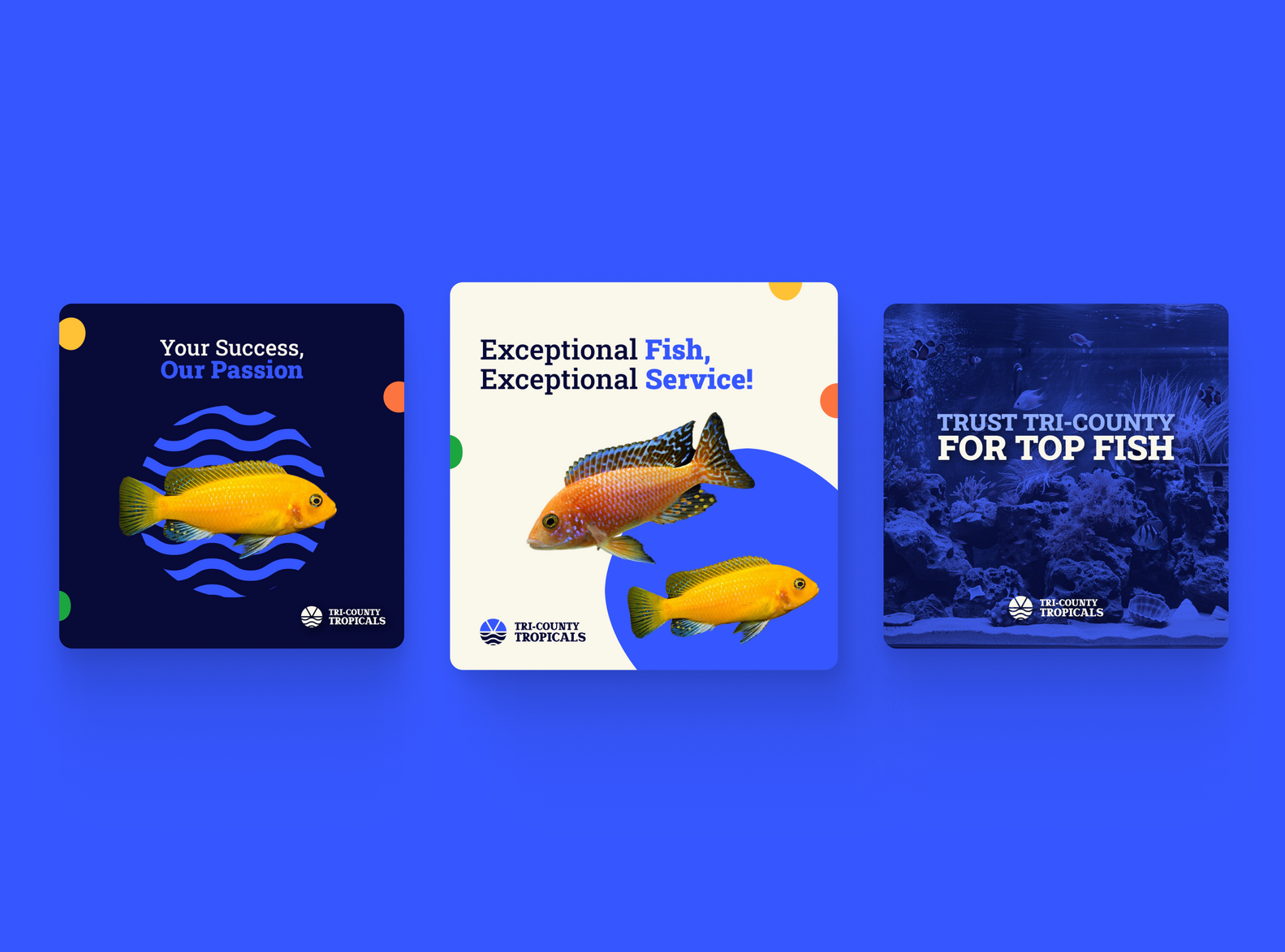 A mobile phone displaying a social media feed, surrounded by three floating advertisement banners for business services.