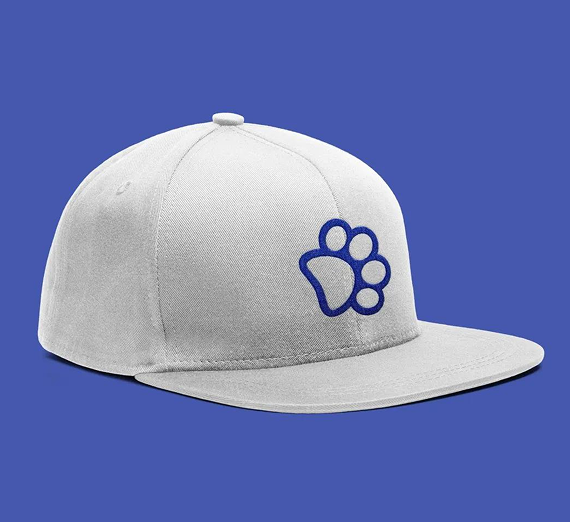 White snapback baseball cap featuring a blue paw print icon on the front panel, set against a solid blue background.