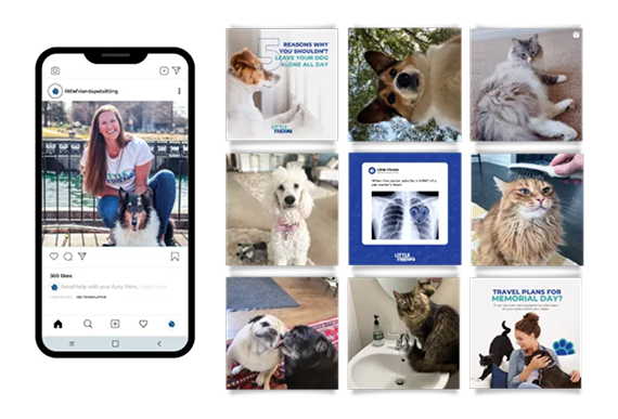A phone displaying an Instagram profile alongside a grid of nine posts featuring various pets and veterinary graphics.