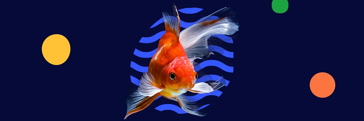 A goldfish swims in front of a blue wave pattern on a dark background, accented by yellow, green, and orange circles.