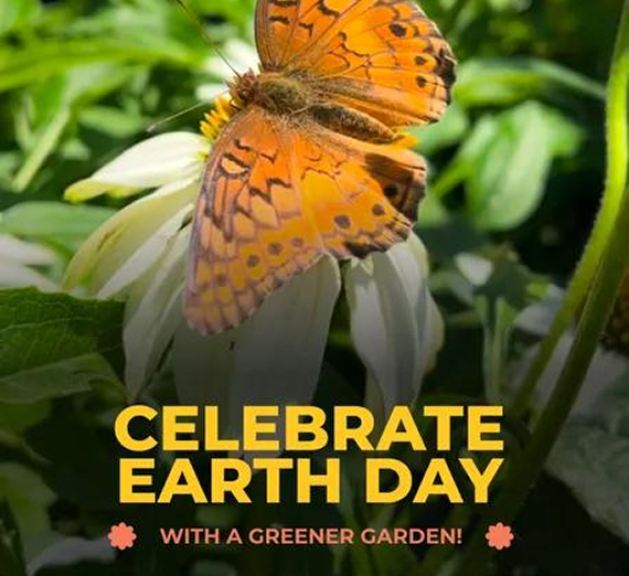 A vibrant orange butterfly rests on a white flower, with the text 